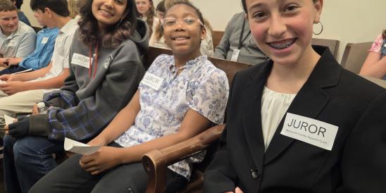 Monmouth County Lawday Photo 3